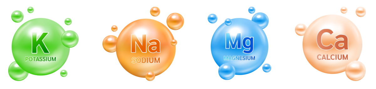 ÉLECTROLYTES - SODIUM, MAGNÉSIUM, CALCIUM, POTASSIUM