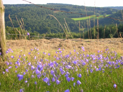 outdoor-trakks-randonnee-belgique