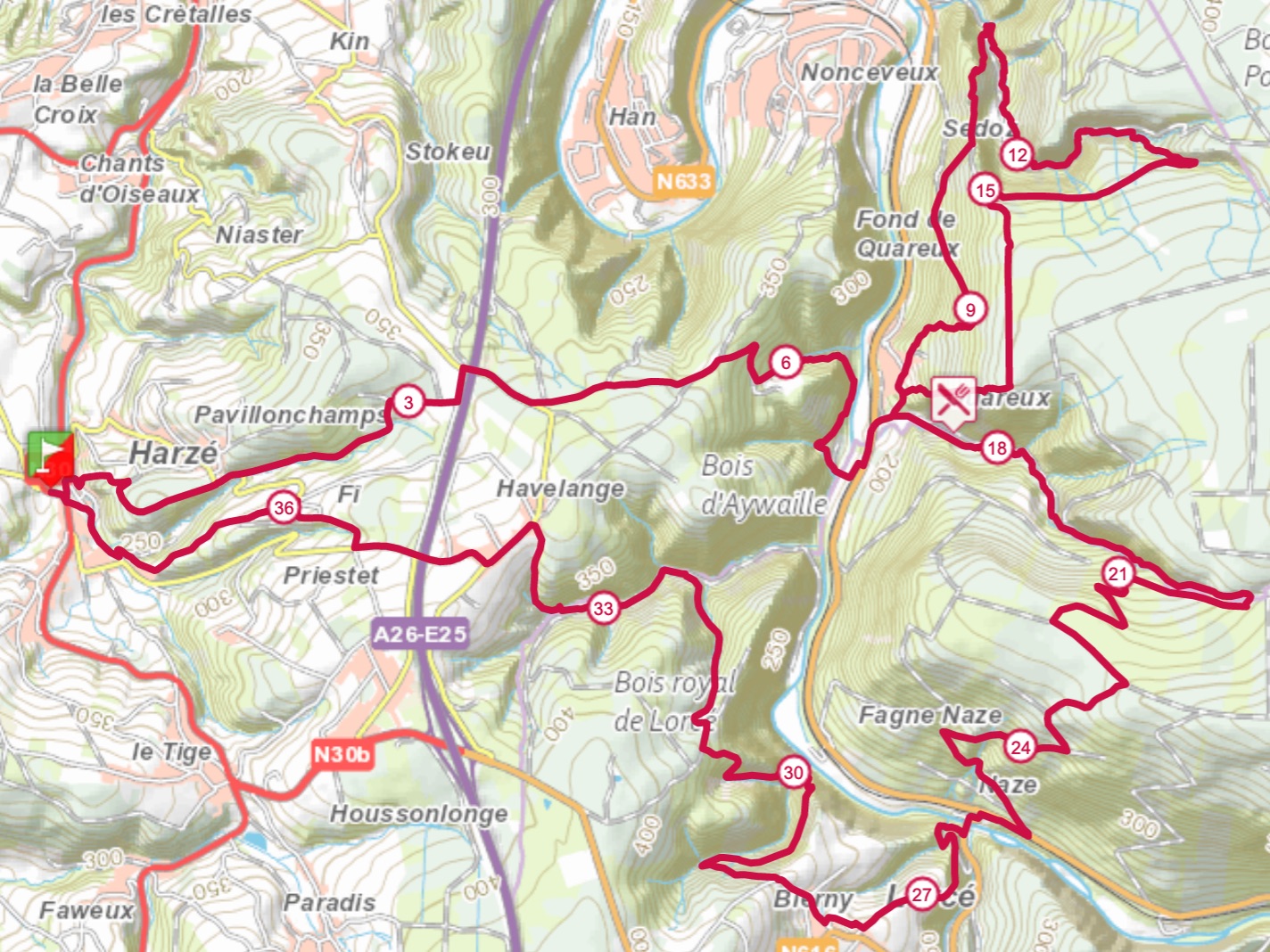 stage-d'haene-belgique