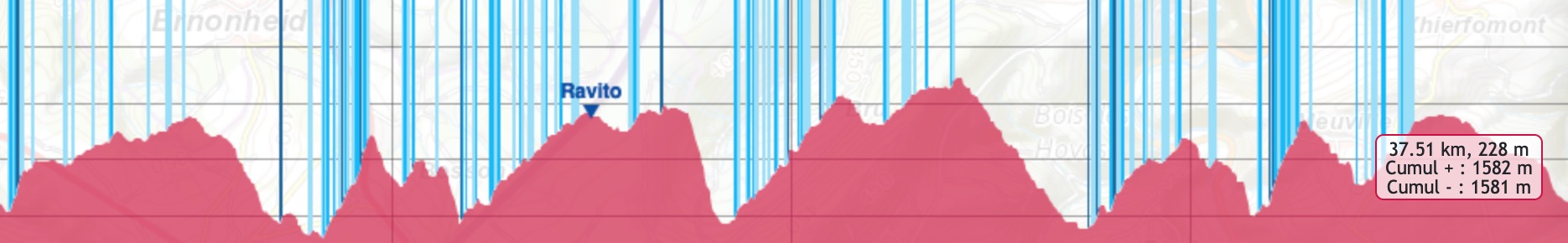 stage-d'haene-belgique