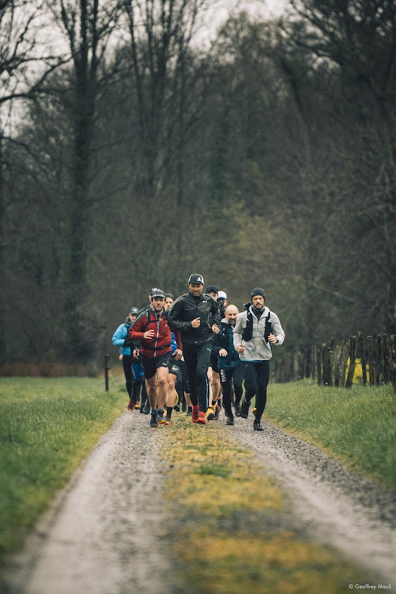 stage-francois-d'haene-trakks-running-trail