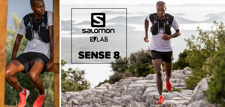 sense lab 8